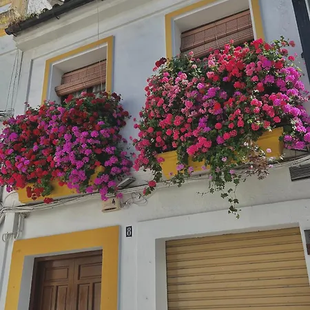 Apartamento Gran Centro Con Parking Gratis *